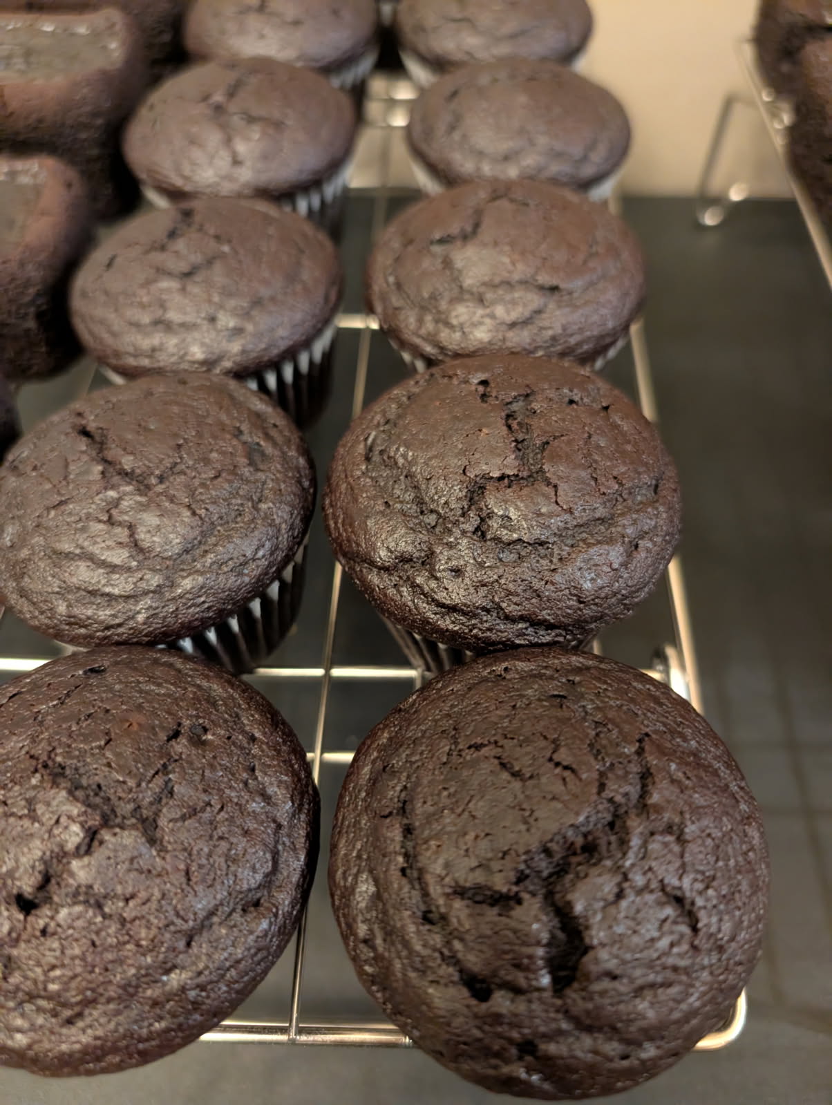 Chocolate Cupcakes No Icing, gluten-free, dairy-free, and nut-free, baked in Red Deer