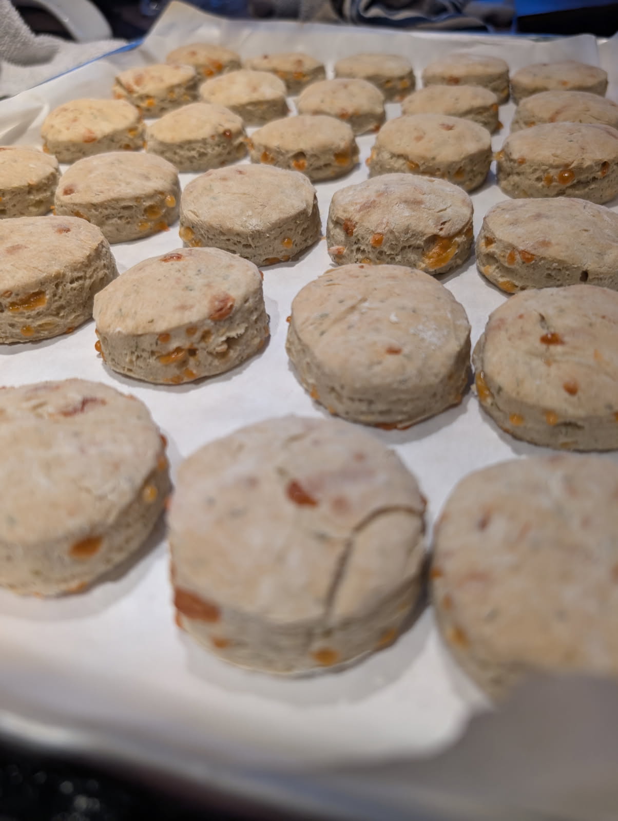 Herb and Cheese Biscuits, gluten-free, dairy-free, and nut-free, baked in Red Deer