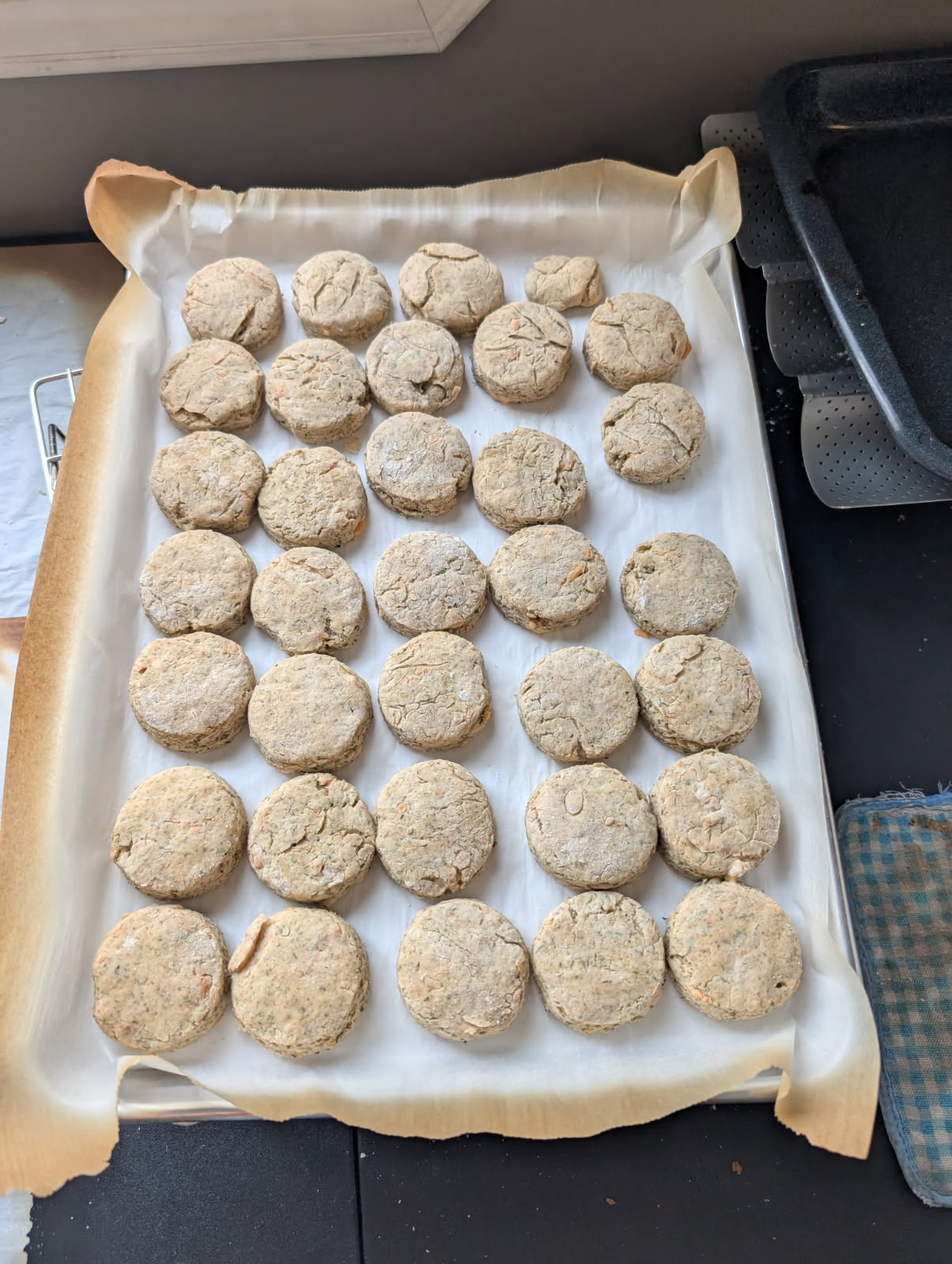 Regular Biscuits, gluten-free, dairy-free, and nut-free, baked in Red Deer
